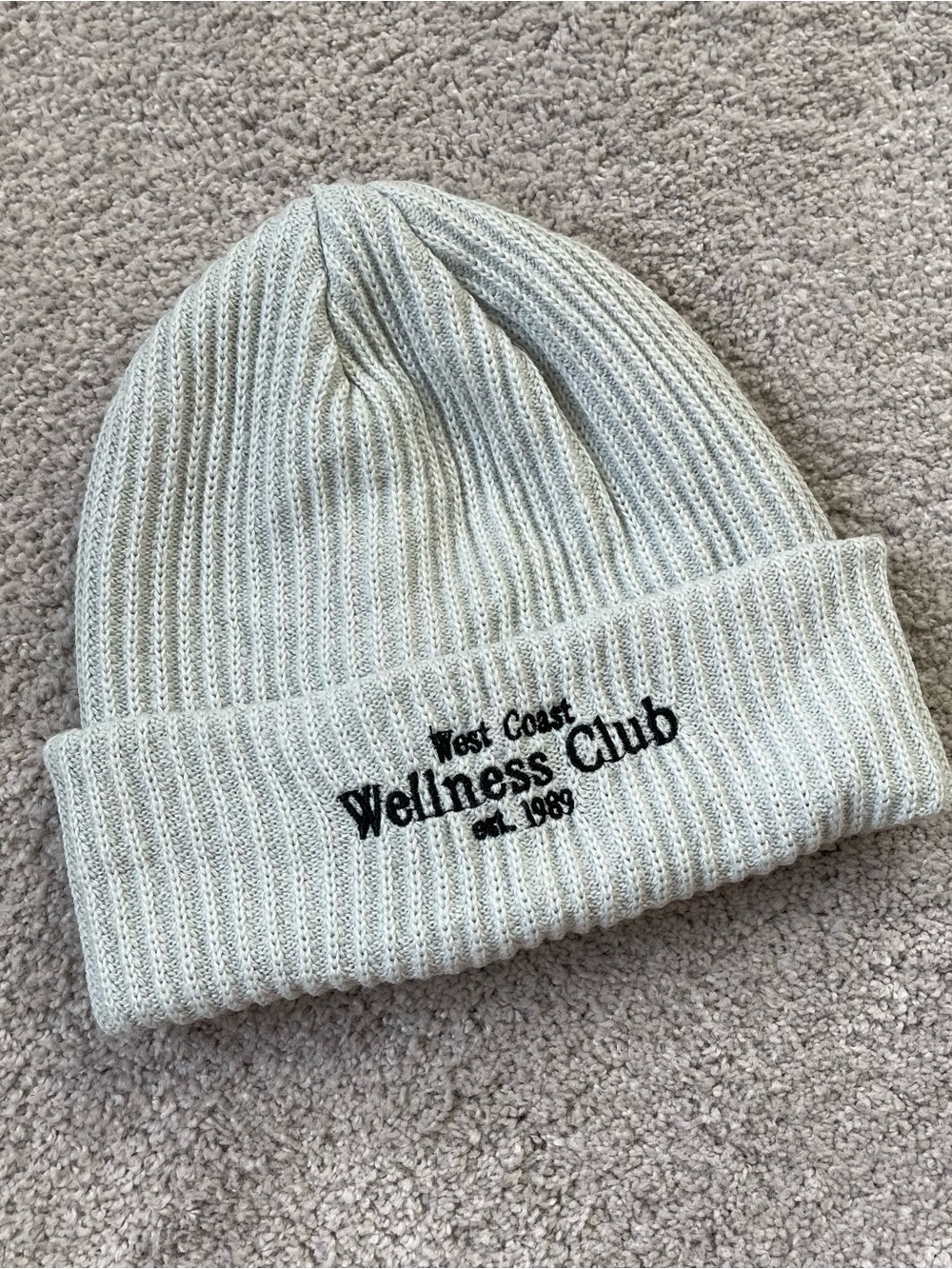 Anthropologie Knit Beanie in Light Gray